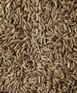 Singapore Quality Cumin Seeds