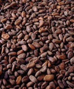 Good quality Dried Grade A Cocoa/ Cacao/ Chocolate bean
