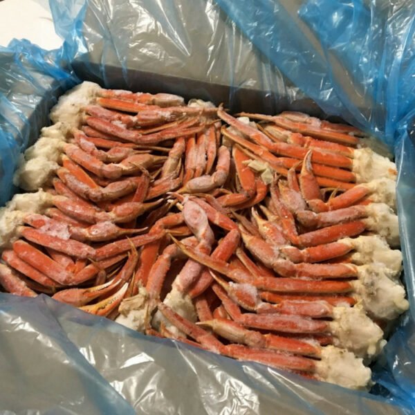 frozencrab-600x600